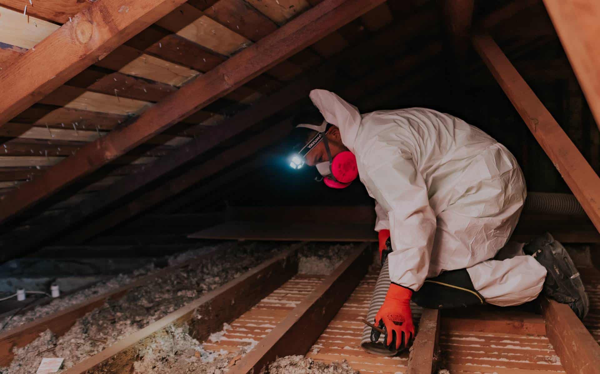 Attic-Cleaning-services