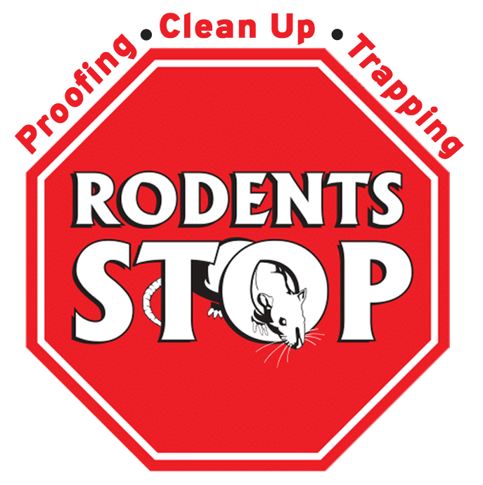 Rodents Stop Southern CA Rodent Control Experts