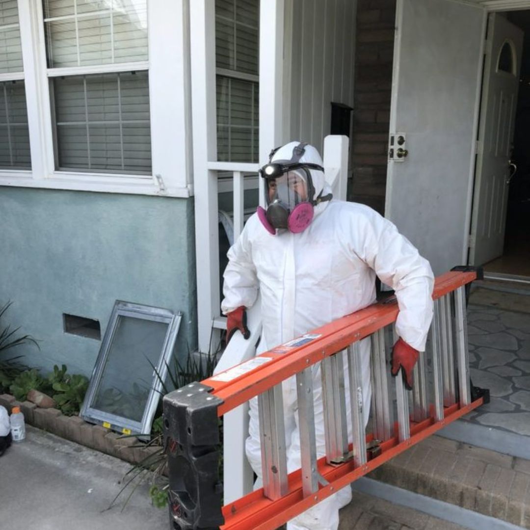 Person in protective gear with a ladder, preparing for home maintenance outside a house for safety compliance.