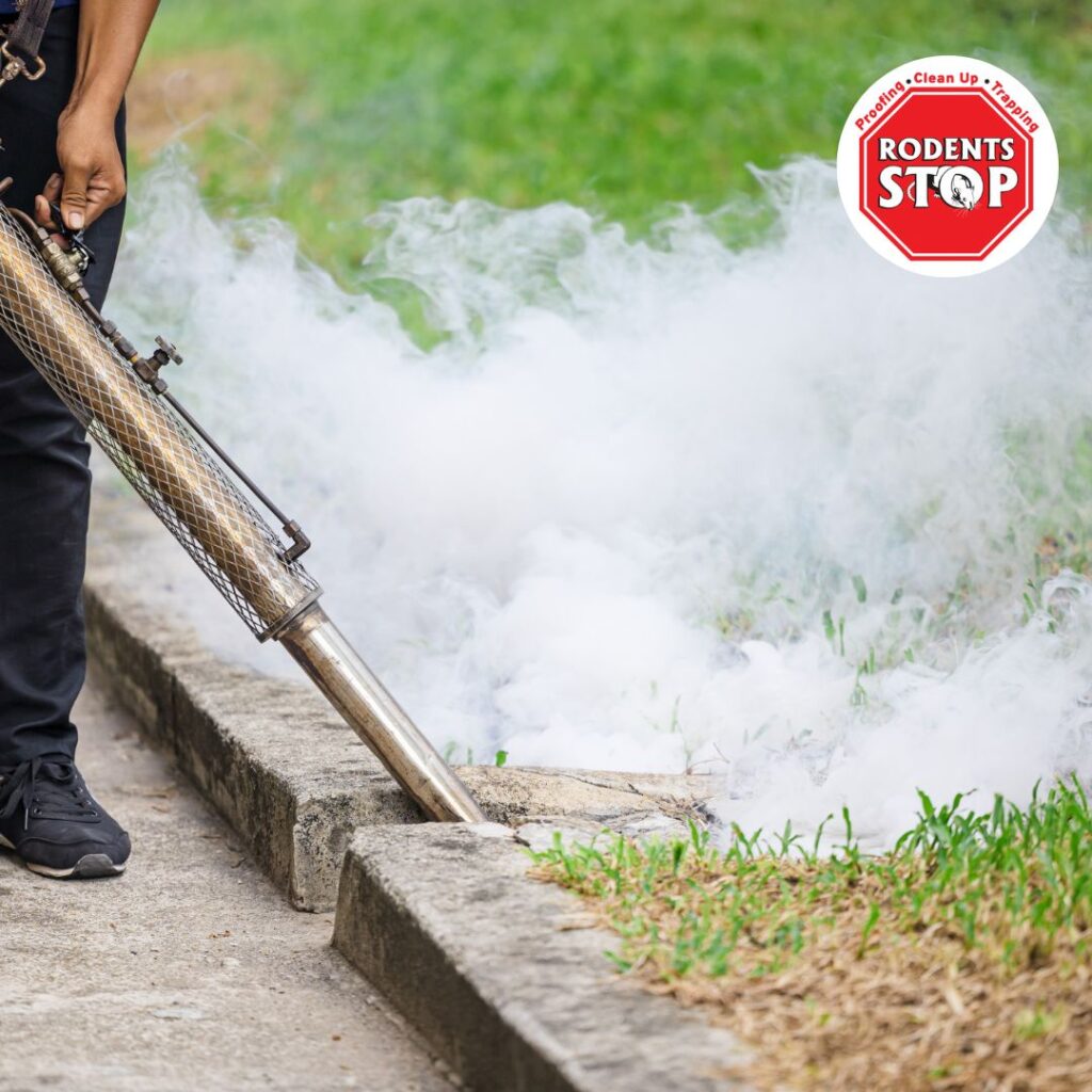 Smoke-Testing