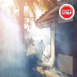 Pest control technician fumigating outdoor area for rodent prevention, with smoke and sunlight filtering through trees.