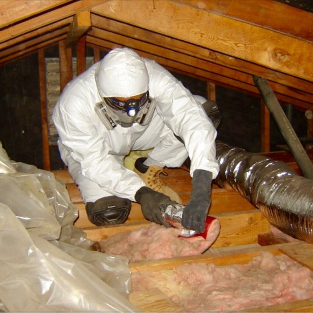 Attic cleaning & Decontamination