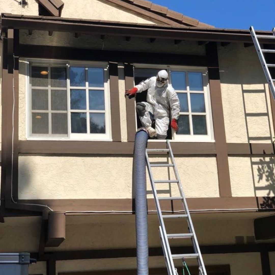 Technician in protective gear cleaning second-story windows using ladder and hose.