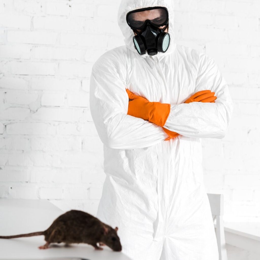 asbestos removal