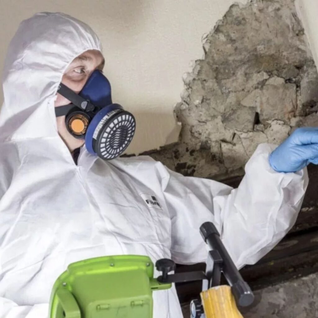 asbestos removal