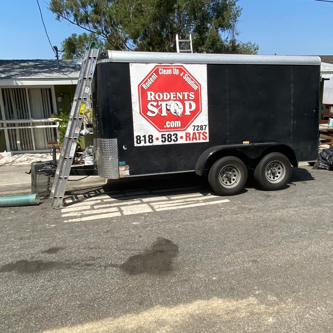 Black trailer with Rodent Stop logo and a ladder at a residential area, offering rodent clean-up services.