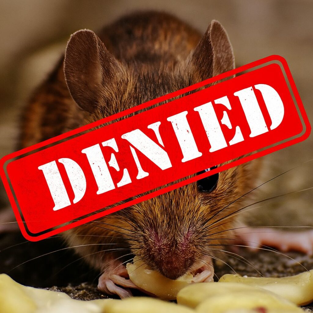 Rodents Stop | Los Angeles & Southern CA Rodent Control Service