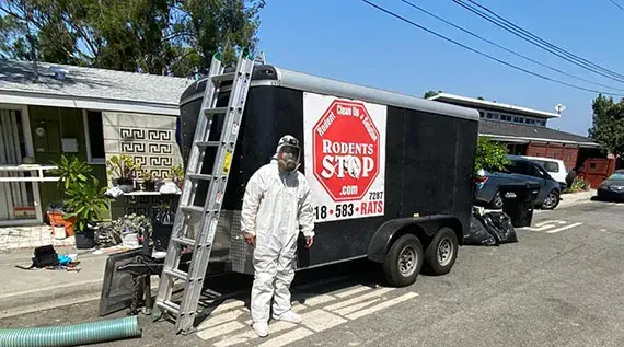 rat-control-altadena