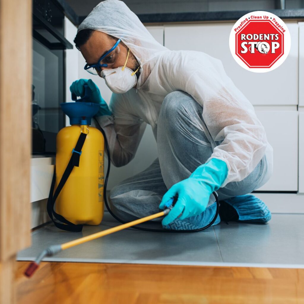 Pest control professional in protective gear spraying indoors for rodents, near Rodents Stop logo.